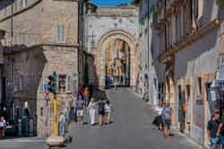 assisi